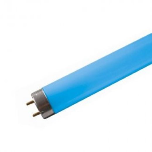 T5 Fluorescent Tube 24W — Blue Spectrum