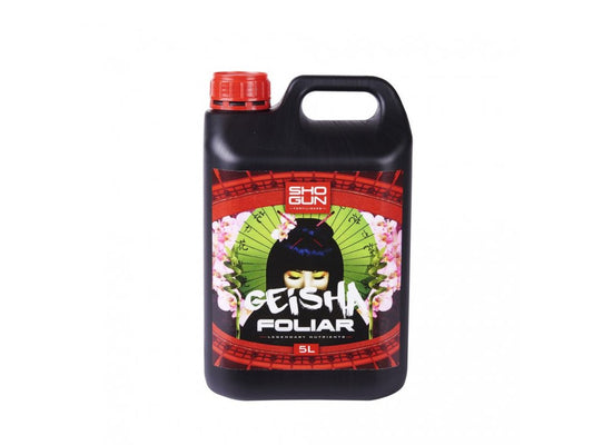 SHOGUN GEISHA FOLIAR