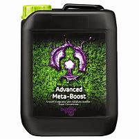 BUDDHAS TREE META BOOST