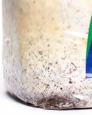 Exhale CO2 Bag — Mycelial CO2 Release