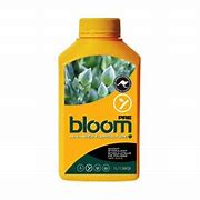 BLOOM PRE