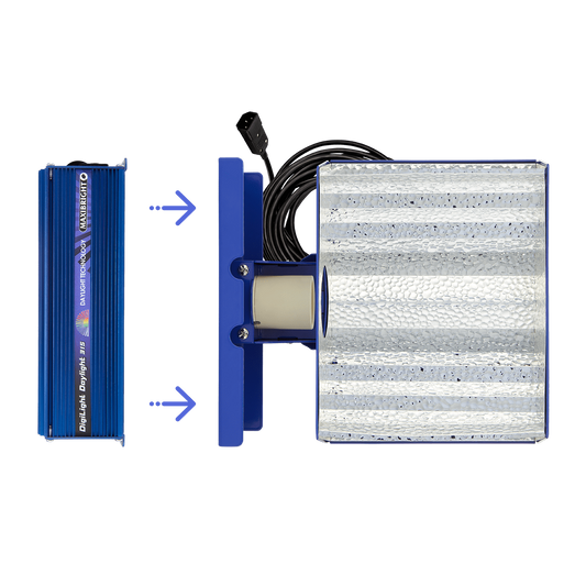 DAYLIGHT HORIZON CONNECT 315W REFLECTOR