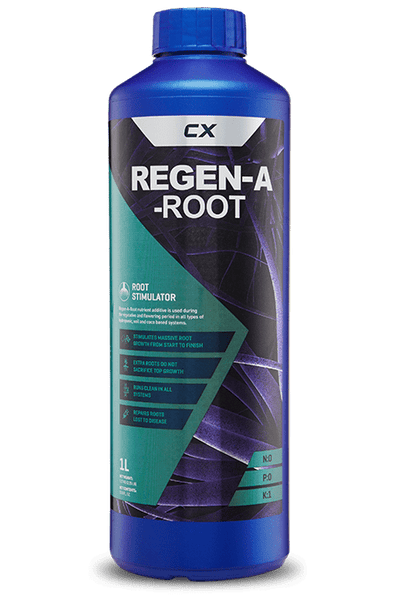 CX REGEN A ROOT