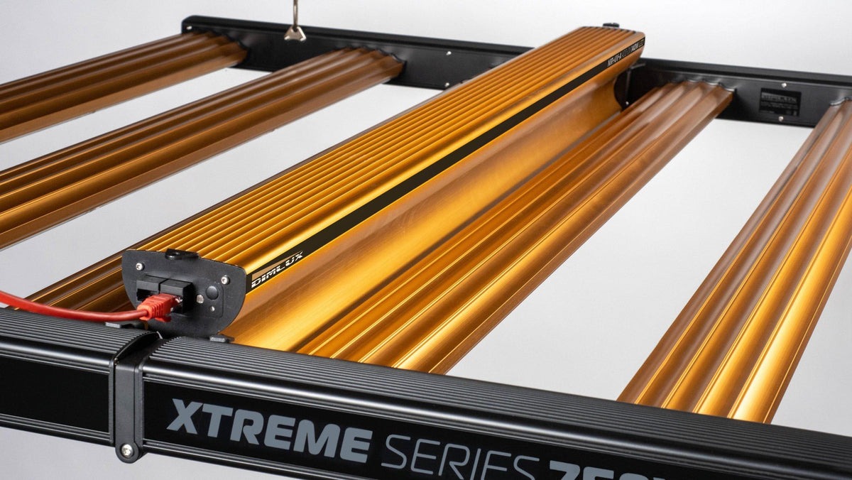 DIMLUX XTREME 750W LED