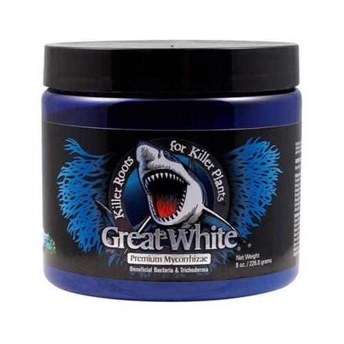 GREAT WHITE