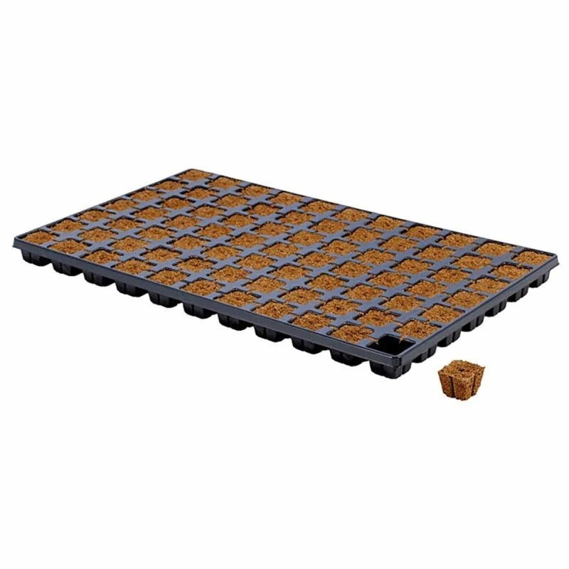 Eazy Plug Propagation Tray — 77 Plugs
