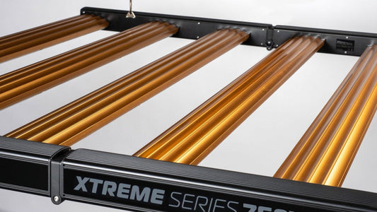 DIMLUX XTREME 750W LED