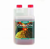 CANNA CANNAZYM