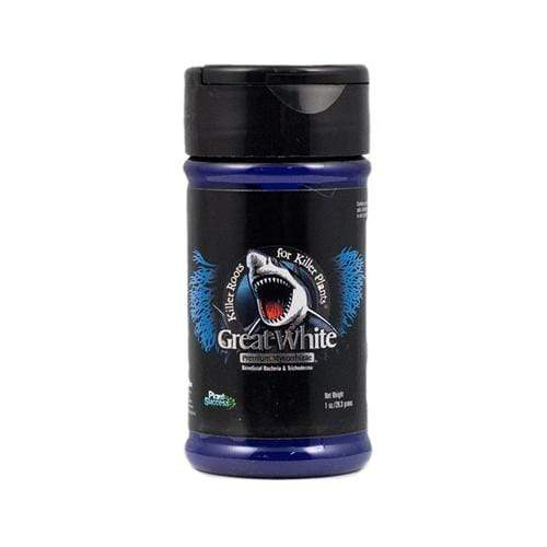 GREAT WHITE