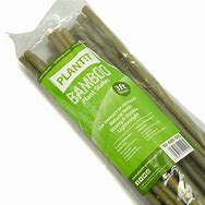 Bamboo Stakes — 120cm, Pack of 25