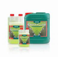 CANNA FLUSH