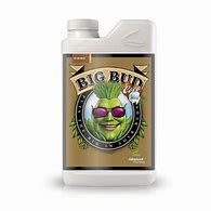 ADVANCED NUTRIENTS BIG BUD COCO