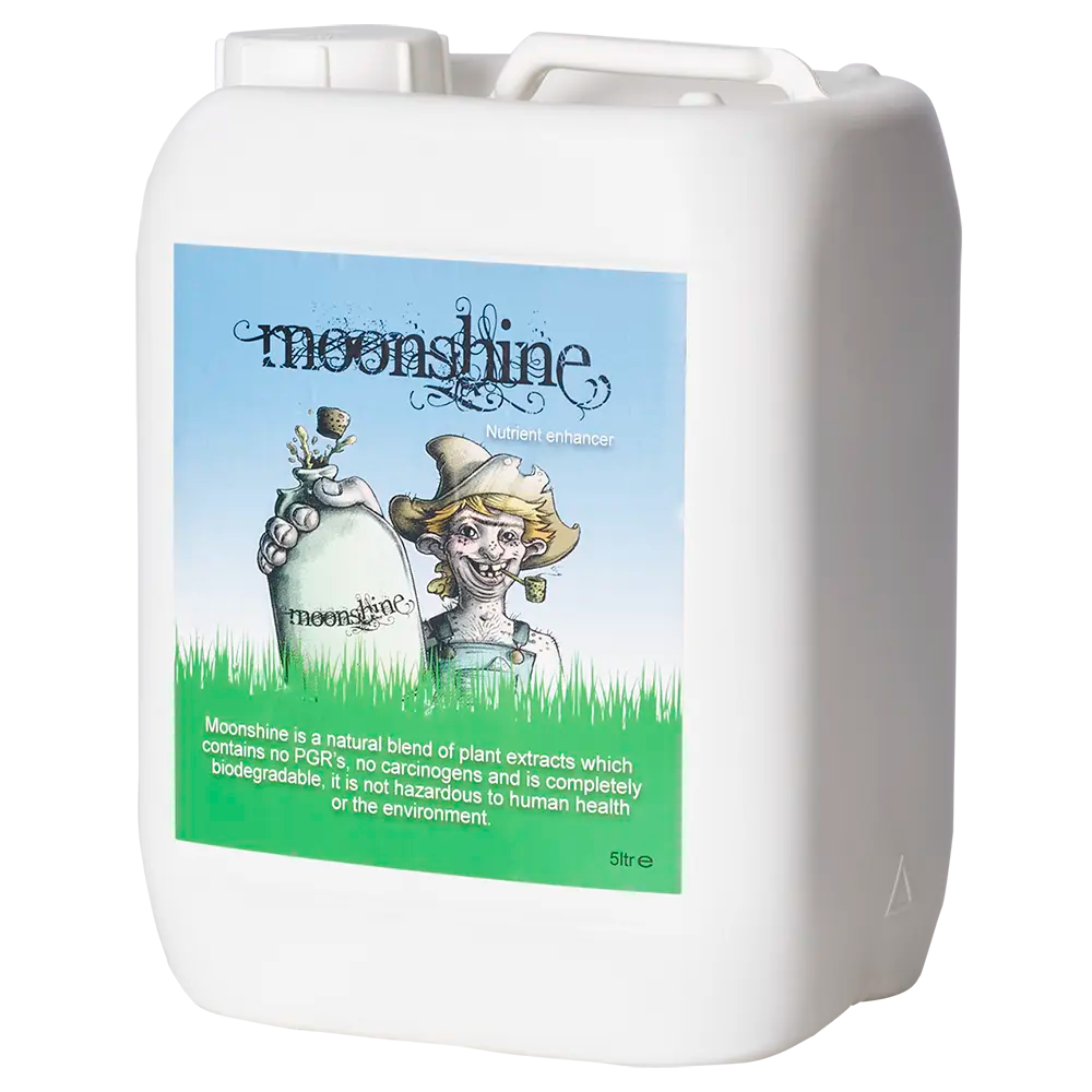 MOONSHINE