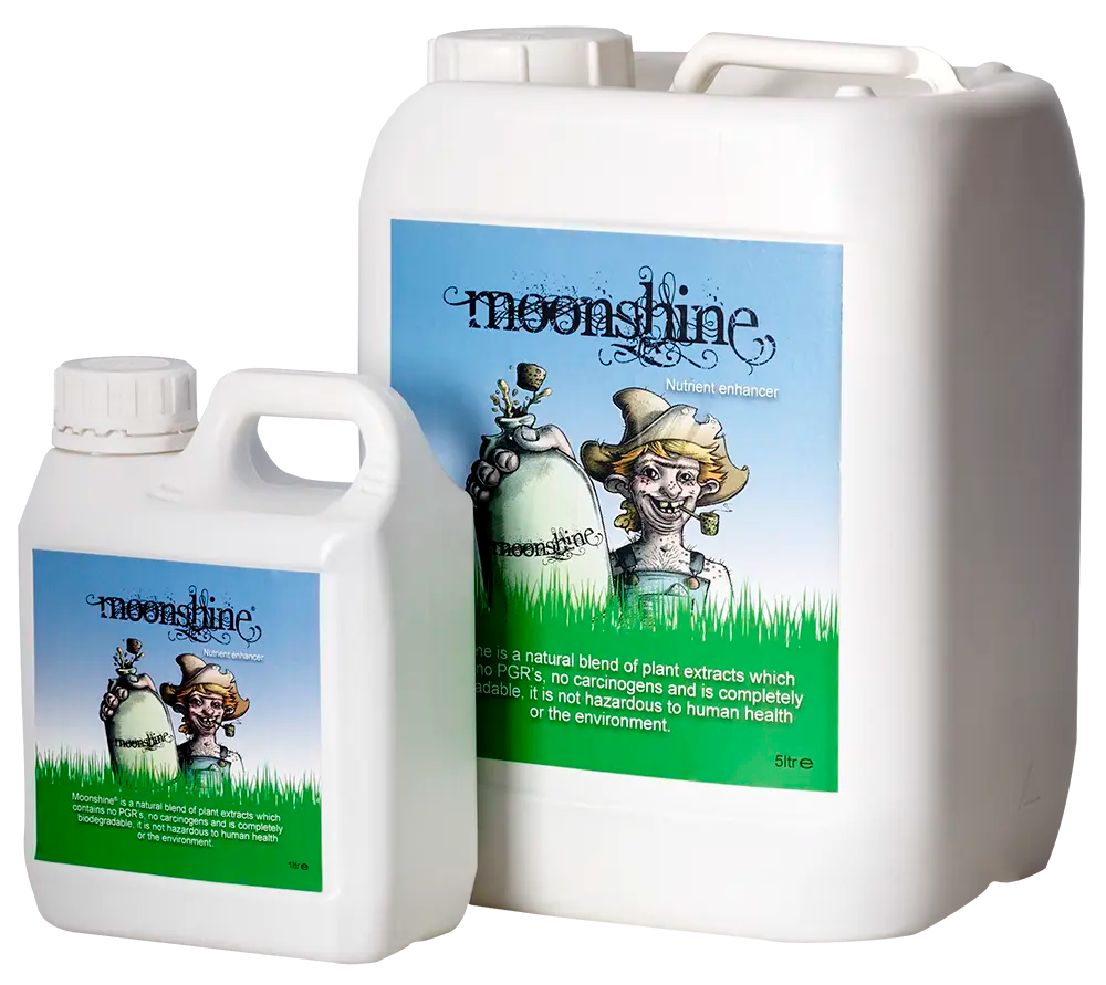 MOONSHINE