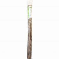 BAMBOO (PACK OF 25)