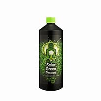 BUDDHAS TREE SOLAR GREEN POWER