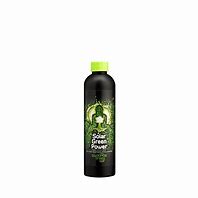 BUDDHAS TREE SOLAR GREEN POWER