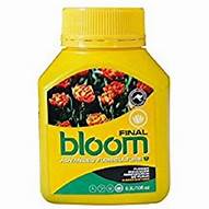 BLOOM FINAL
