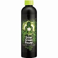 BUDDHAS TREE SOLAR GREEN POWER