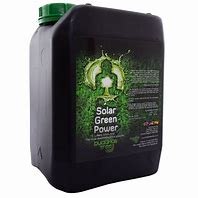 BUDDHAS TREE SOLAR GREEN POWER