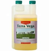 CANNA TERRA VEGA