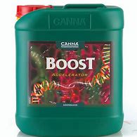 CANNA BOOST ACCELERATOR