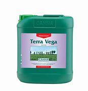 CANNA TERRA VEGA