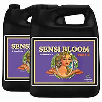 ADVANCED SENSI BLOOM A&B