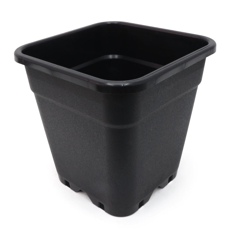 SQUARE POT
