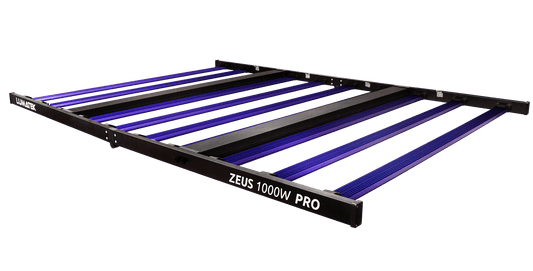 LUMATEK ZEUS 1000W PRO