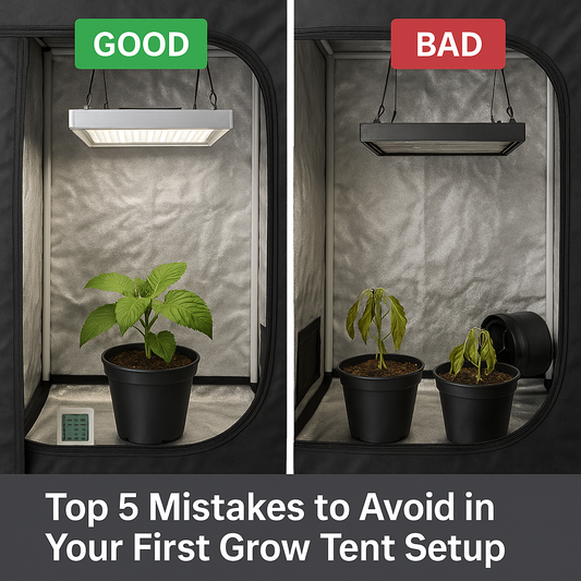 5 Grow Tent Mistakes Beginners Make