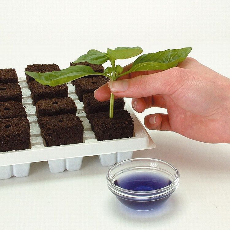 ROOT RIOT TRAY 24