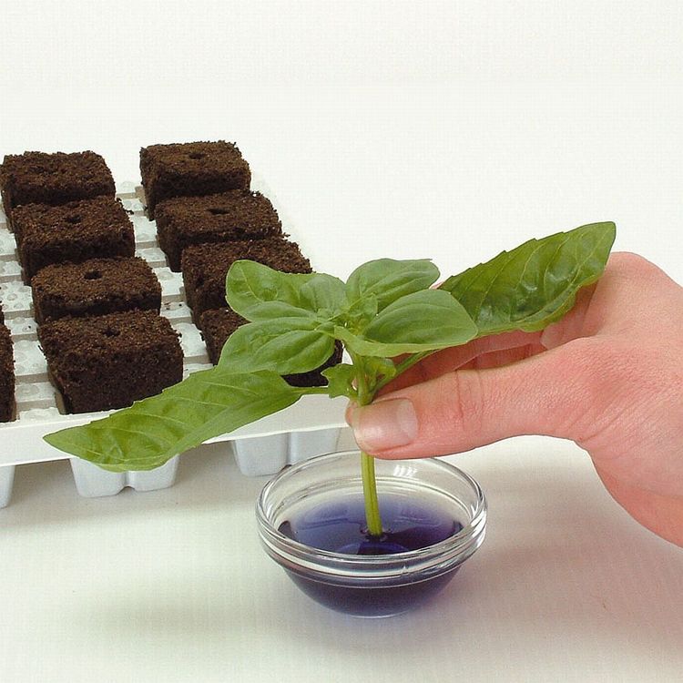 ROOT RIOT TRAY 24