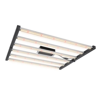 LUMII BLACK LED KIT