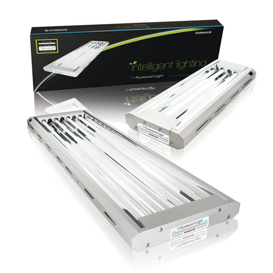 MAXIBRIGHT T5 2 FOOT 4 TUBE