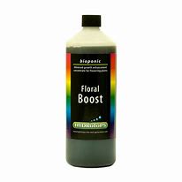 HYDROTOPS FLORAL BOOST
