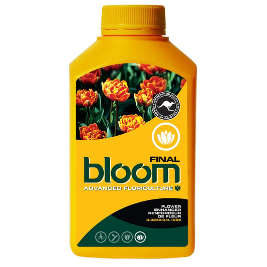 BLOOM FINAL