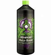 BUDDHAS TREE META BOOST
