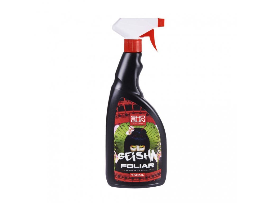 SHOGUN GEISHA FOLIAR