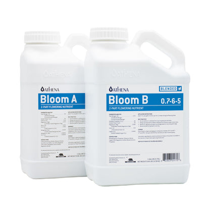 Athena Bloom A&B — 18.92L