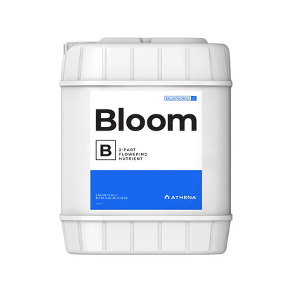 Athena Bloom A&B — 18.92L