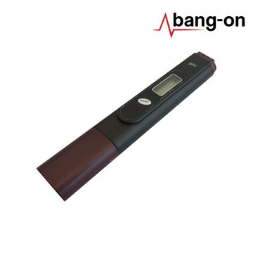BANG-ON BUDGET PH PEN