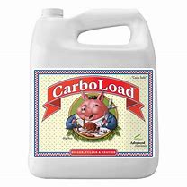 ADVANCED NUTRIENTS CARBOLOAD