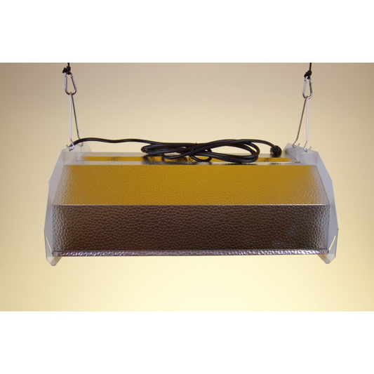 BUDGET REFLECTOR