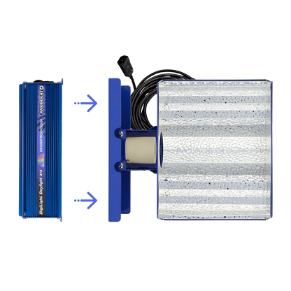 DAYLIGHT HORIZON CONNECT 315W REFLECTOR