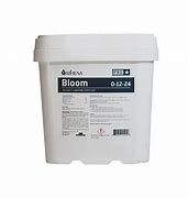 ATHENA PRO BLOOM