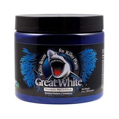 GREAT WHITE
