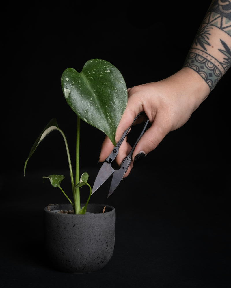 Grow Room Tools