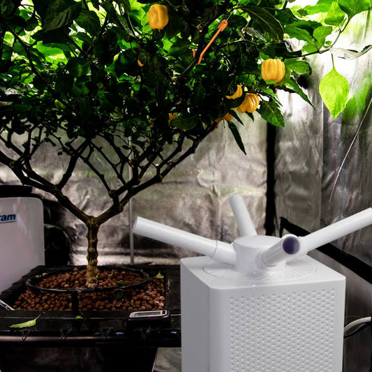 G.A.S SONICAIR HUMIDIFIER