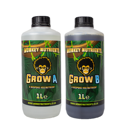 MONKEY GROW A&B